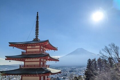 Private Day Tour from Tokyo: Customised Mount Fuji Highlights