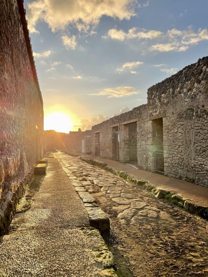 Picture 9 for Activity Pompeii: VIP Tour with an Archaeologist plus Entry Tickets