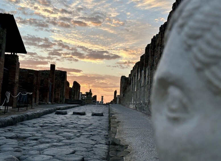 Picture 14 for Activity Pompeii: Exclusive Tour with Archaeologist and Entry Tickets