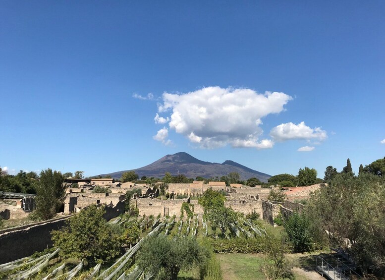 Picture 1 for Activity Pompeii: Exclusive Tour with Archaeologist and Entry Tickets