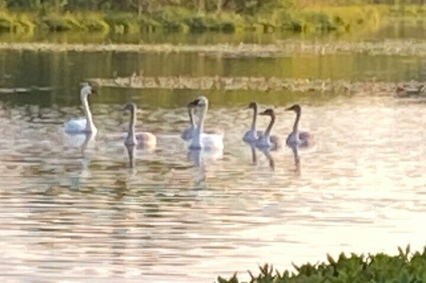 7 Mile Canoe Trail Tour