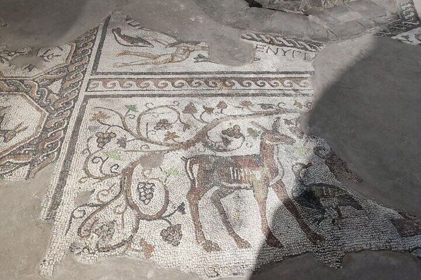 Valley of the Thracian Kings and Augusta Trayana Tour