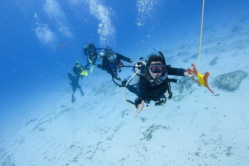 Drift Diving