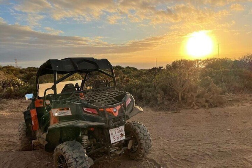 50% Off-Road Buggy Tour in Tenerife - 2 Hours 