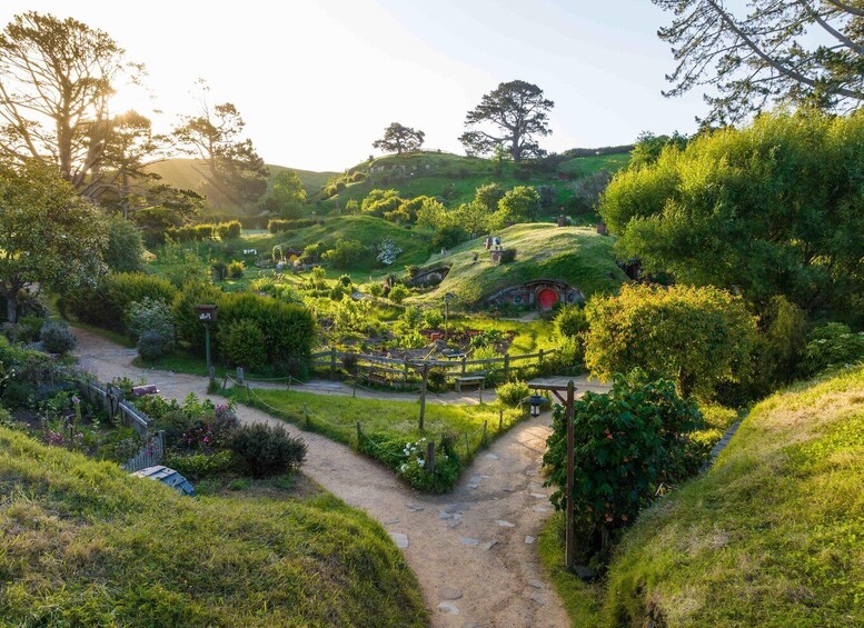 Picture 15 for Activity From Auckland: Hobbiton Movie Set Full-Day Trip