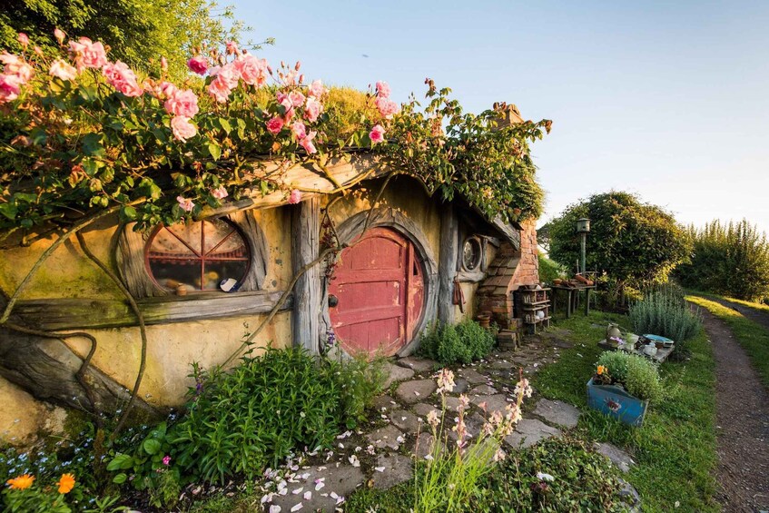 Picture 13 for Activity From Auckland: Hobbiton Movie Set Full-Day Trip