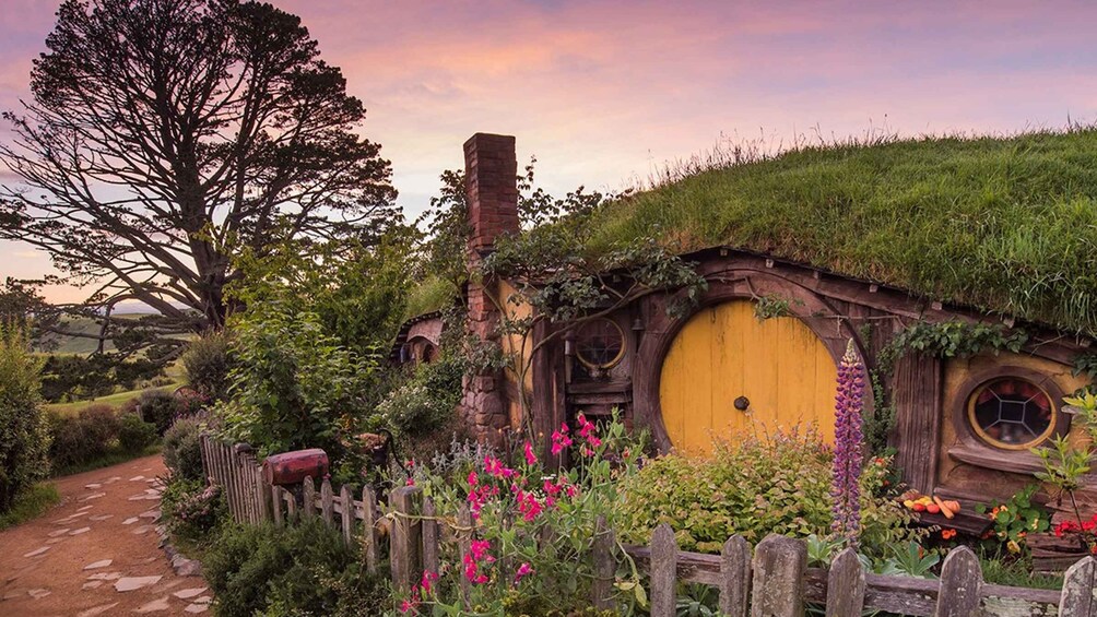 Picture 3 for Activity From Auckland: Hobbiton Movie Set Full-Day Trip