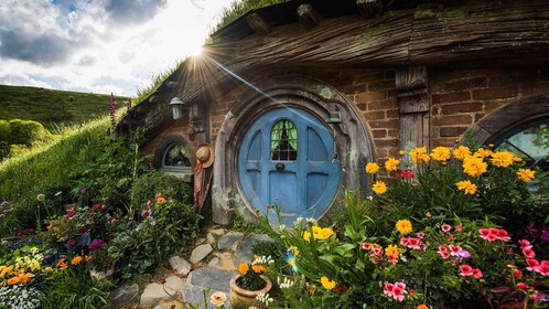 Von Auckland aus: Hobbiton Filmset Ganztagesausflug