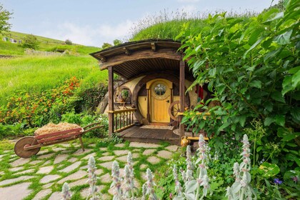 Dari Auckland: Perjalanan Sehari Penuh di Set Film Hobbiton