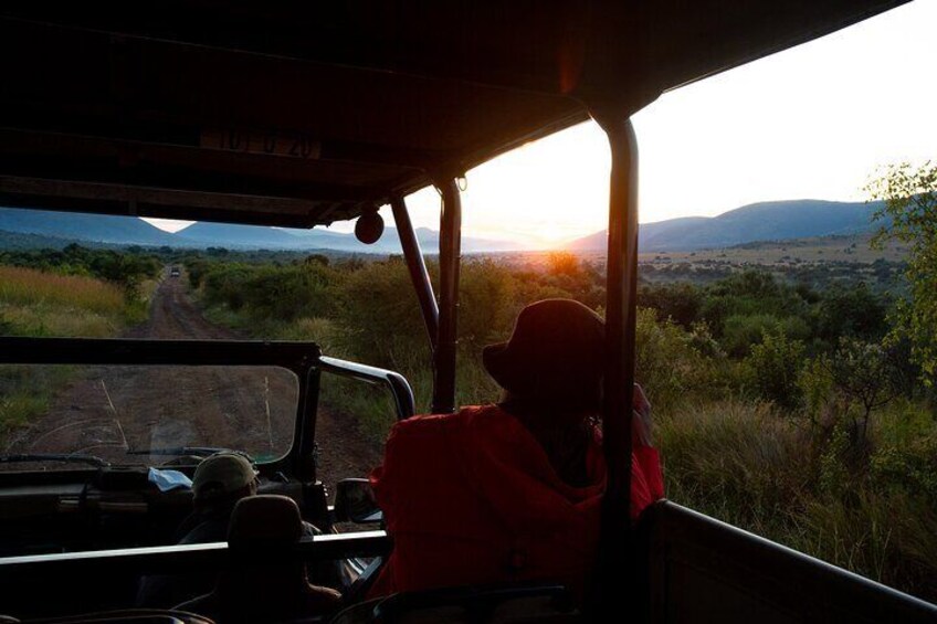 Full Day Pilanesberg Safari Adventure