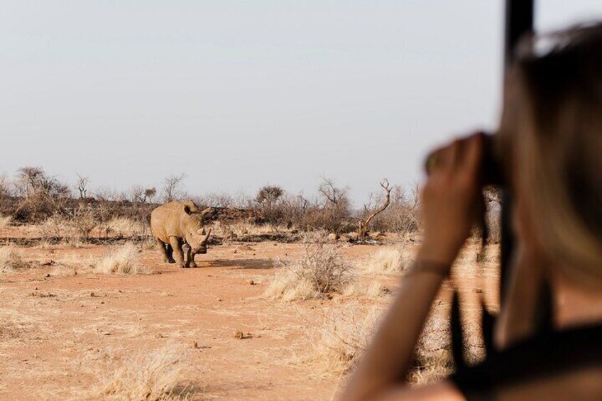 https://www.tripadvisor.com/PreviewImage?p=11&img=271177520