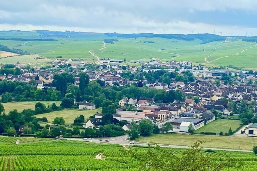 Chablis Wine Tasting by Jean Marc Brocard and Maison Regnard 