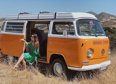 Malibu: Vintage VW Sightseeing Tour and Wine Tasting