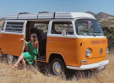 Malibu : visite guidée et dégustation de vins de la marque Vintage VW