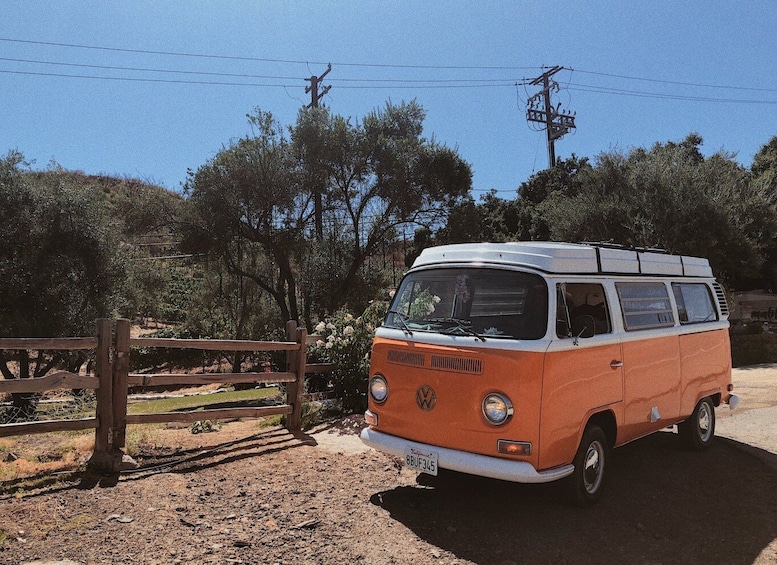 Picture 7 for Activity Malibu: Vintage VW Private Sightseeing Tour and Wine Tasting