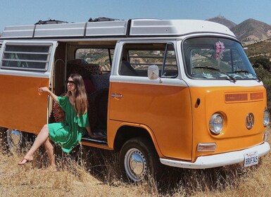 Malibu : visite guidée et dégustation de vins de la marque Vintage VW