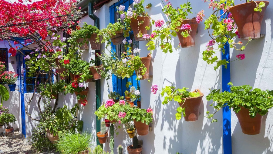 Cordoba's Authentic Patios: 2-Hour Tour with Tickets