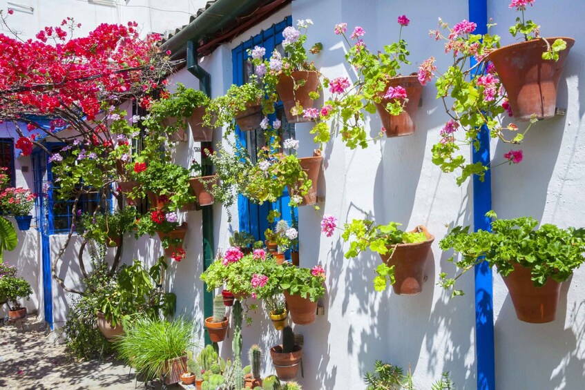 Cordoba's Authentic Patios: 2-Hour Tour with Tickets