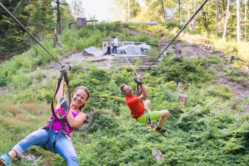 Picture 2 for Activity Rope Park Interlaken: Climbing Adventure with Entry Ticket