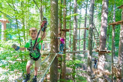 Parco avventura di Interlaken: Avventura di arrampicata con biglietto d'ing...