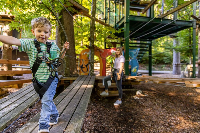 Picture 3 for Activity Rope Park Interlaken: Climbing Adventure with Entry Ticket