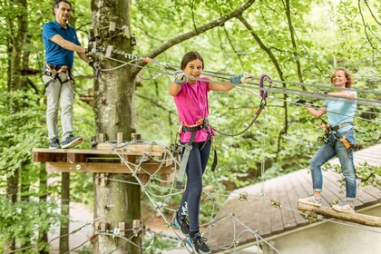 Parco avventura di Interlaken: Avventura di arrampicata con biglietto d'ing...