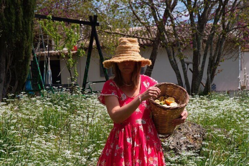 Corfu Organic Olive Oil Tasting at Family Farm and Corfu Old Town