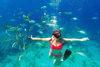 Snorkelling Lunch in West End on Roatans Best Catamaran Tiki Boat