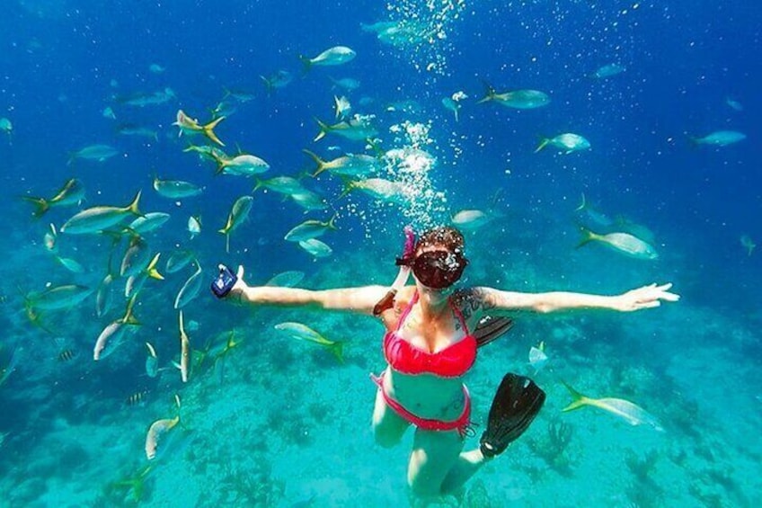 One with the natural Roatan Aquarium