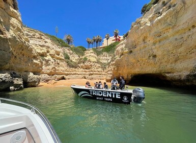 Von Armação de Pêra aus: Bootstour zu den Höhlen und Stränden von Benagil