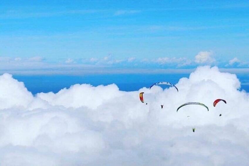 Private Activity Paragliding Flight in Gran Canaria