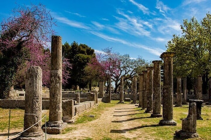 Ancient Olympia: Arkeologisk plats och museum biljett