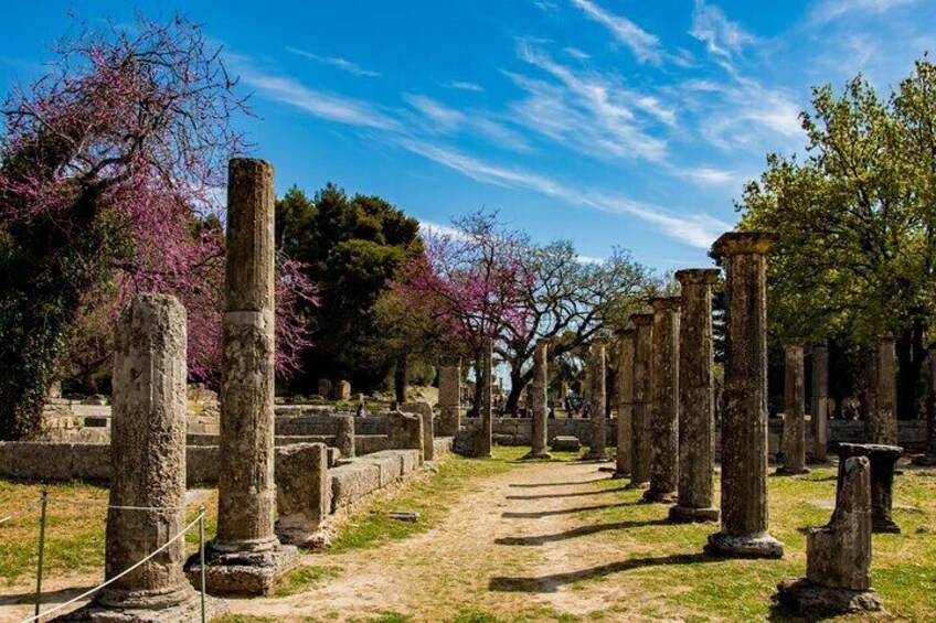 Ancient Olympia: Archaeological Site and Museum Admission Ticket