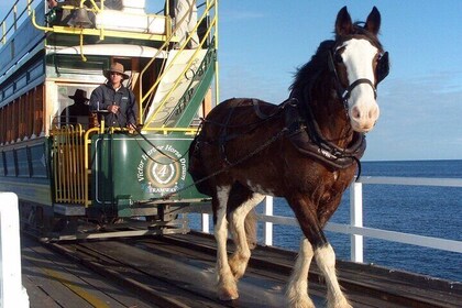 Full-Day Victor Harbor & Hahndorf with Lunch