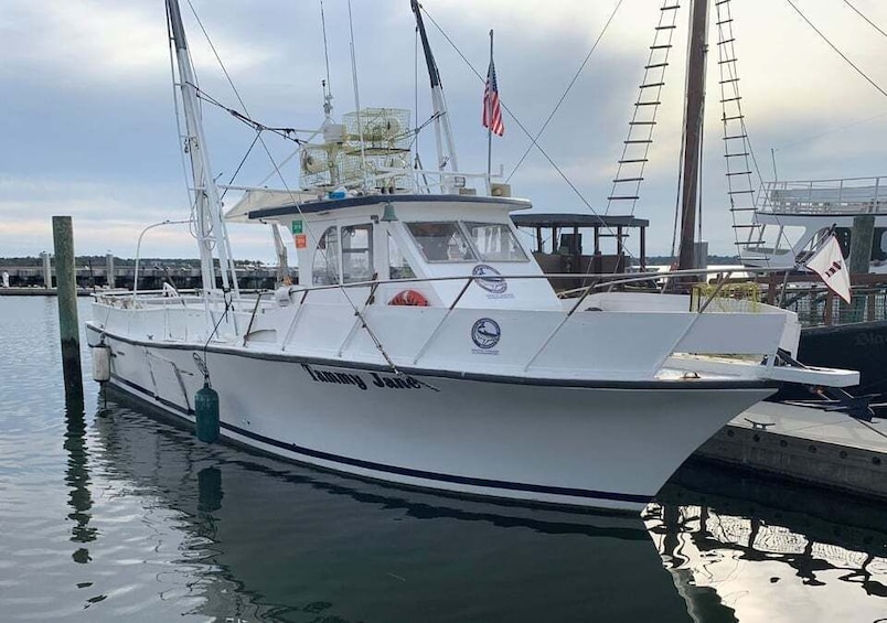 Picture 4 for Activity Hilton Head Island: Shrimp Trawling Boat Tour