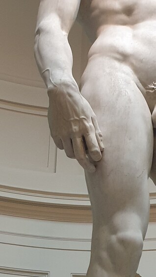 Skip the line fixed entrance: Michelangelo's David Guided Tour