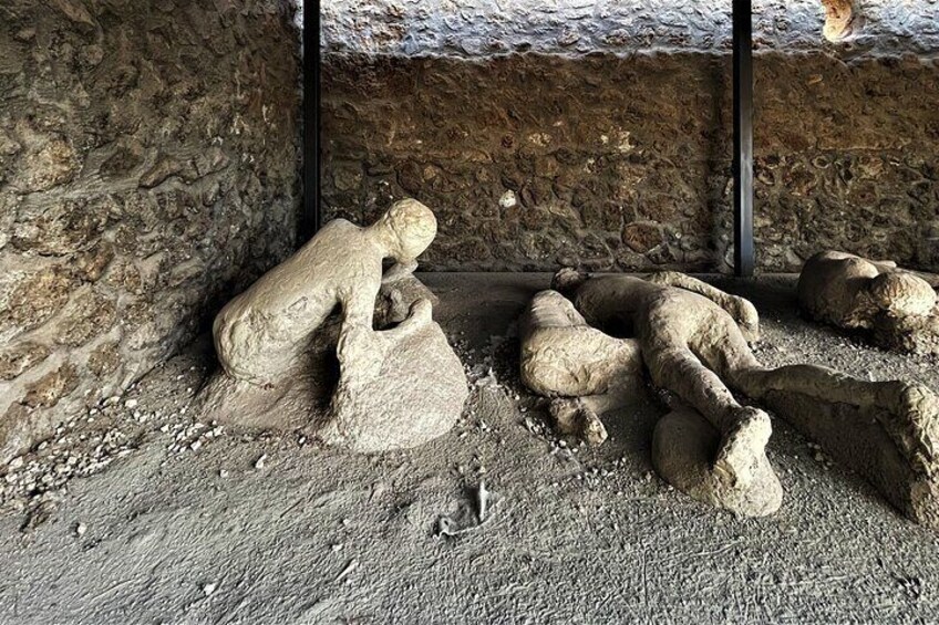 Pompeii Guided Tour with Skip the Line Entry