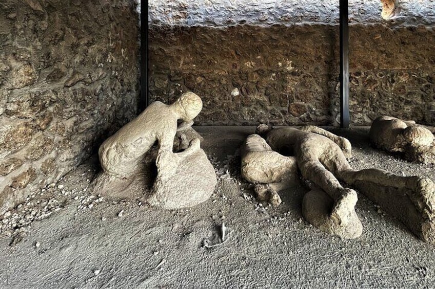Pompeii Guided Tour with Skip the Line Entry