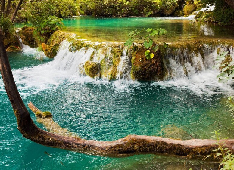 From Trogir, Seget & Okrug: Krka Waterfalls & boat ride