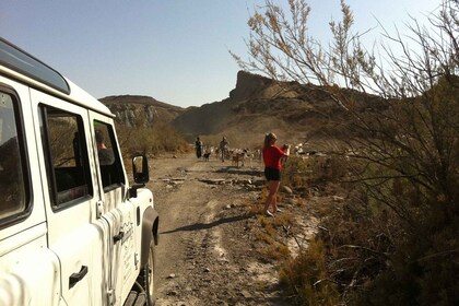 Depuis Almeria : Le désert de Tabernas en 4x4 excursion