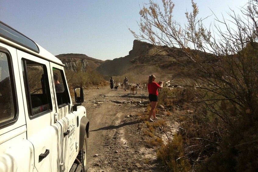 From Almeria: Tabernas Desert 4WD Tour