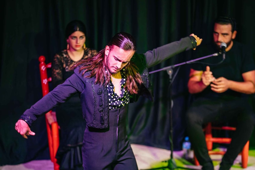 Picture 5 for Activity Granada: Flamenco Show in La Alboreá