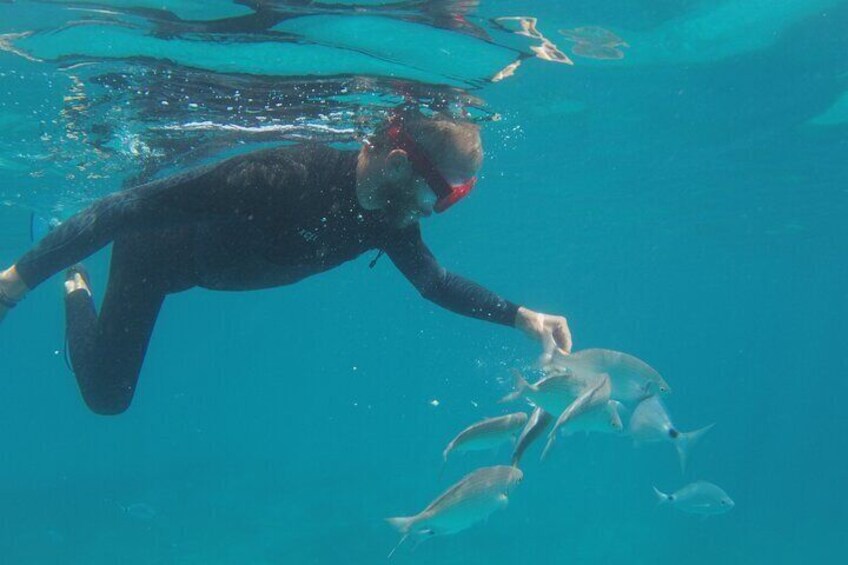 Private Sunset Sailing Tour from Corralejo Fuerteventura 3h