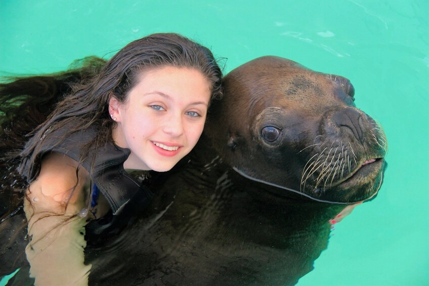 Sea Lion Swim - Coral World Ocean Park