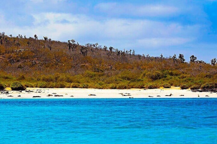 Full day Santa Fe Island and Playa Escondida Snorkeling and Fishing