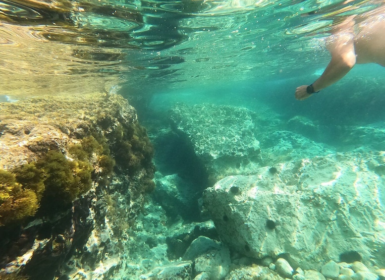 Picture 11 for Activity Pula: Sea Cave and Cliffs Guided Kayak Tour in Pula