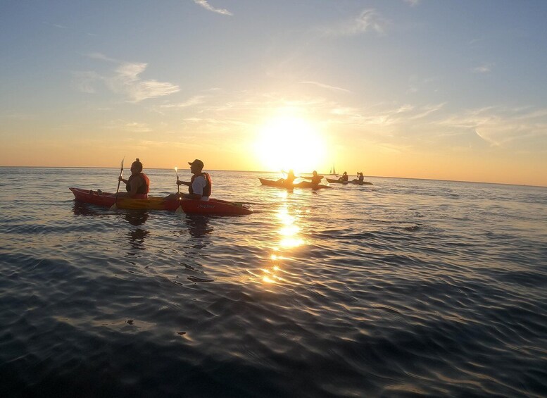 Picture 16 for Activity Pula: Sea Cave and Cliffs Guided Kayak Tour in Pula