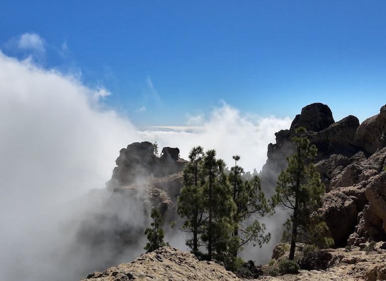 Picture 3 for Activity Gran Canaria: "Peaks of Gran Canaria" Hiking Tour