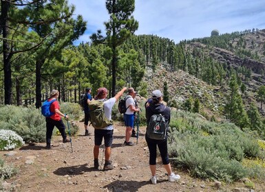 Gran Canaria: recorrido de senderismo por los «Picos de Gran Canaria»