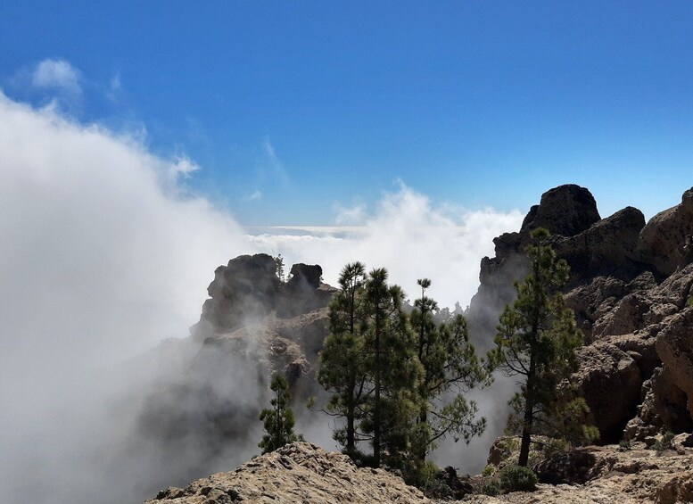 Picture 3 for Activity Gran Canaria: "Peaks of Gran Canaria" Hiking Tour